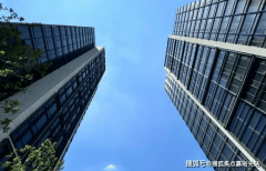 从上海和政策配合点可